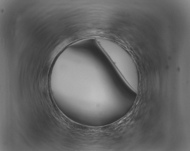 X0000062670099200512211045