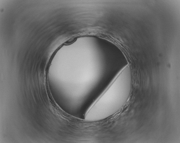 X0000062670100200512211045