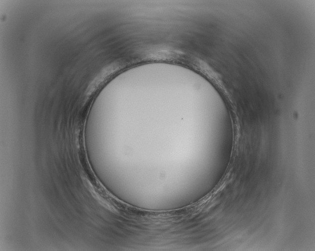 X0000062670106200512211045