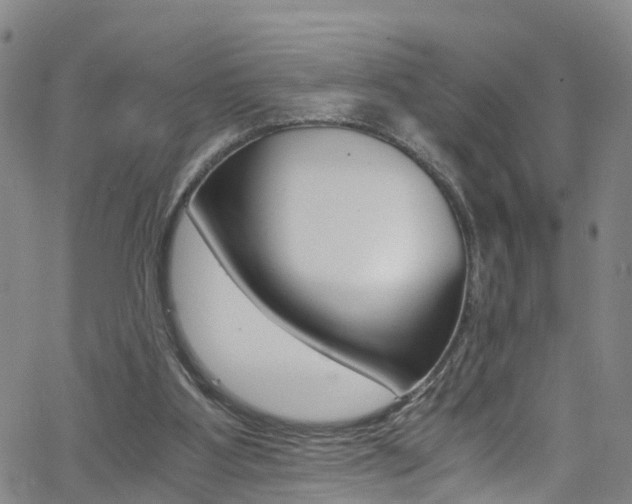 X0000062670107200512211045