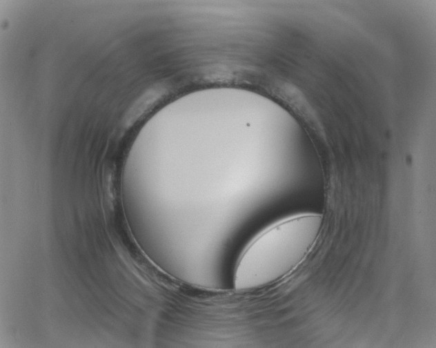 X0000062670116200512211045