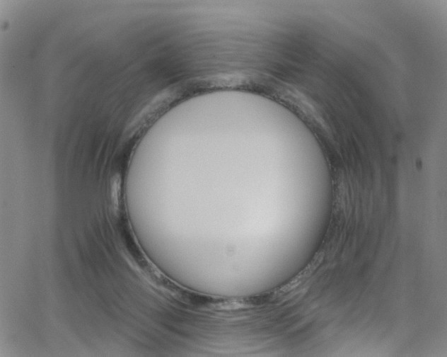 X0000062670118200512211045