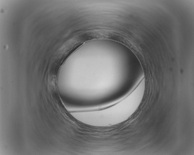 X0000062670141200512211045
