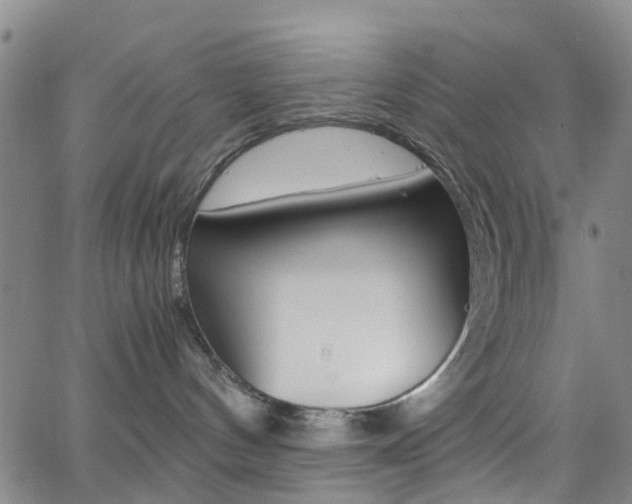 X0000062670144200512211044