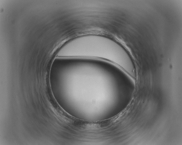 X0000062670154200512211044