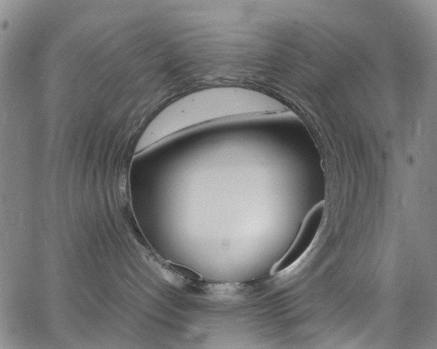 X0000062670192200512211044