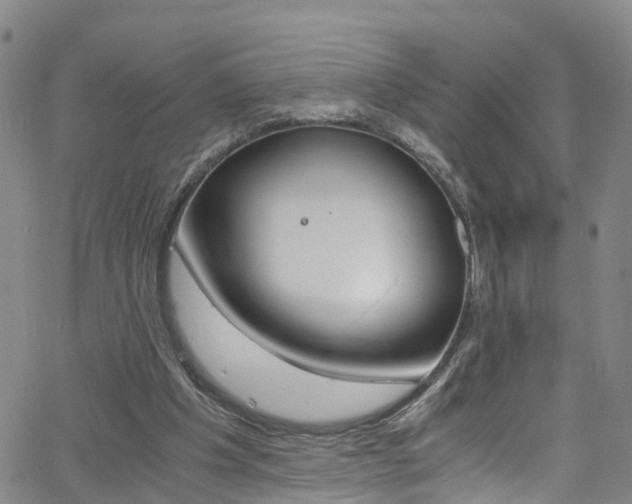 X0000062670201200512211044