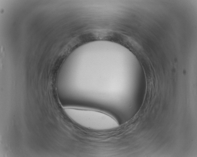 X0000062670221200512211043