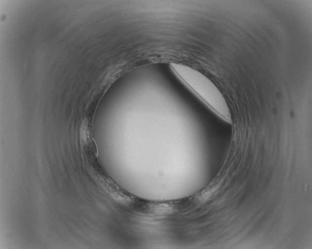 X0000062670287200512211043