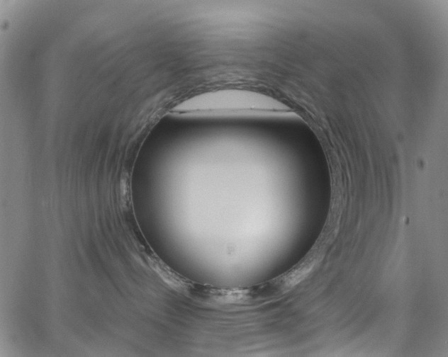 X0000062670288200512211043