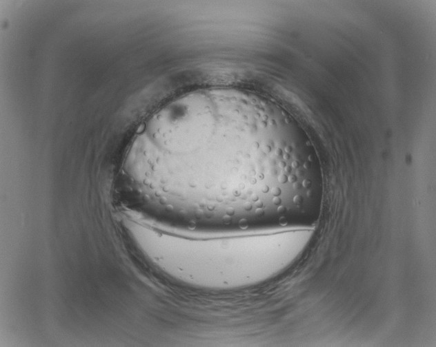 X0000062670307200512211042