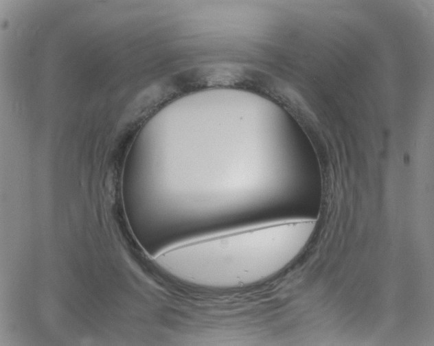 X0000062670311200512211042