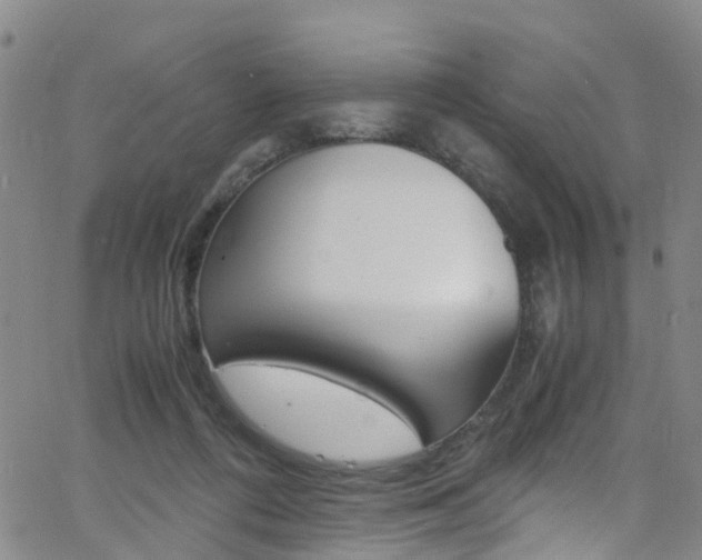 X0000062670312200512211042