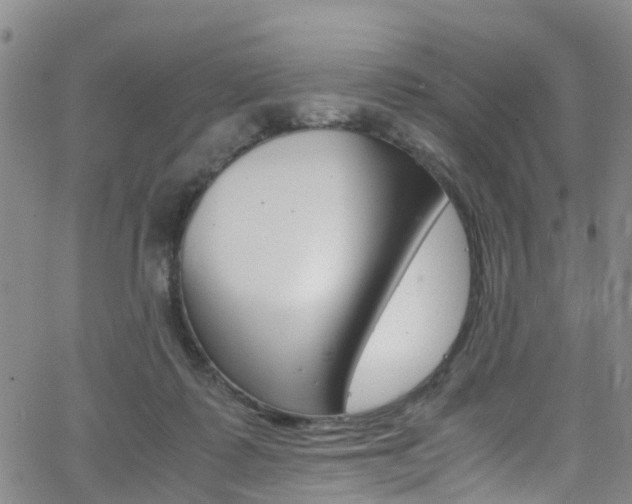 X0000062670315200512211042