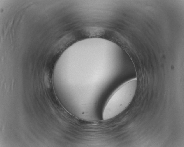 X0000062670316200512211042