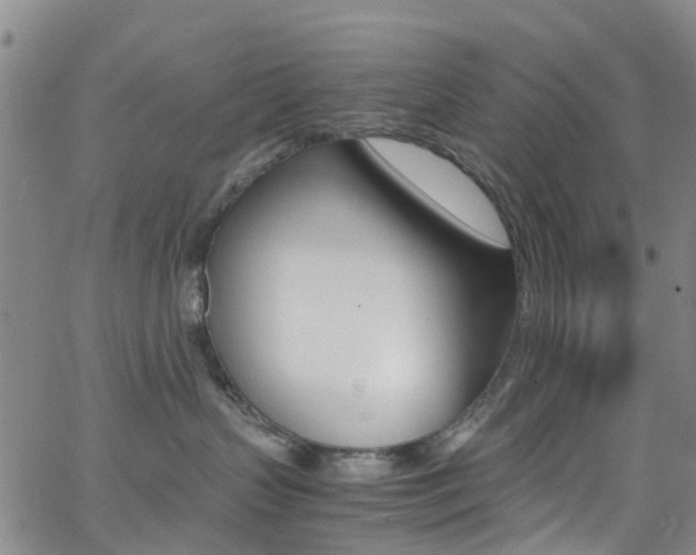 X0000062670383200512211041