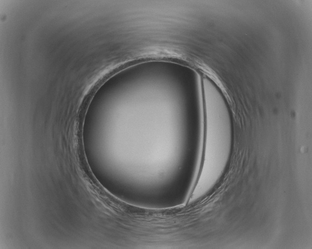 X0000062670387200512211040