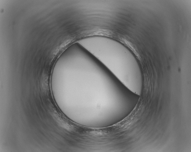 X0000062670394200512211040
