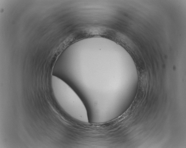 X0000062670406200512211040