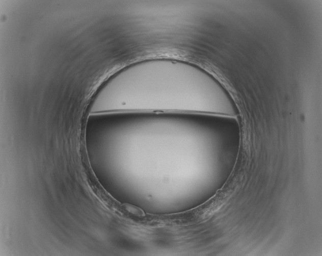 X0000062670434200512211039