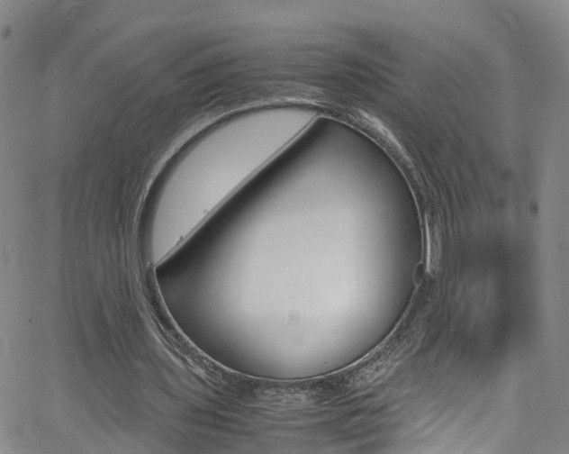 X0000062670435200512211039
