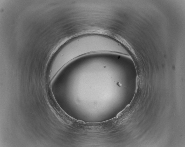 X0000062670436200512211039