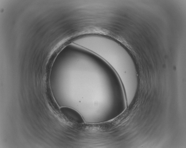 X0000062670440200512211039