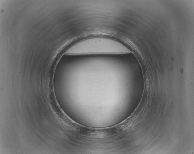 X0000062670444200512211039