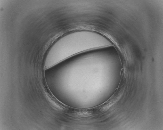 X0000062670445200512211039