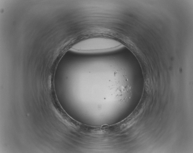 X0000062670454200512211039