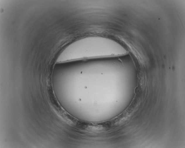 X0000062670455200512211039