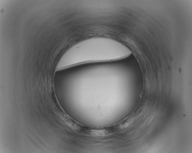 X0000062670457200512211039