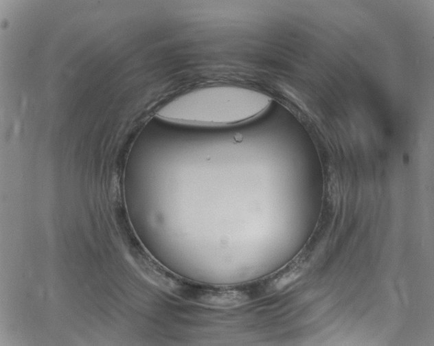 X0000062670459200512211039