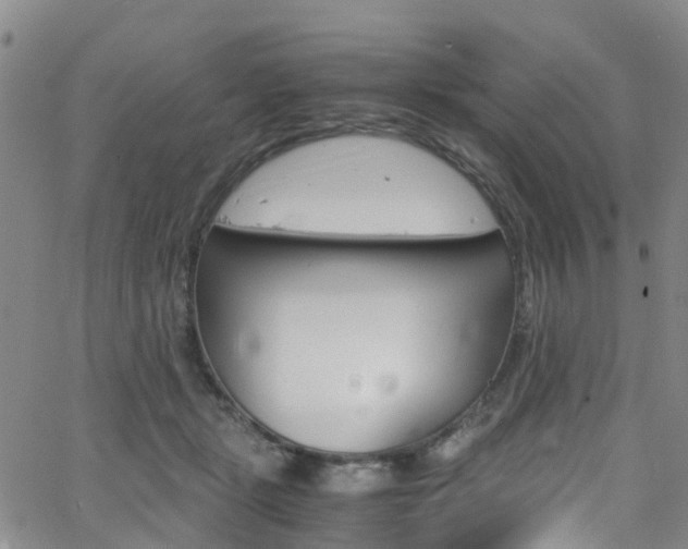 X0000062670461200512211039