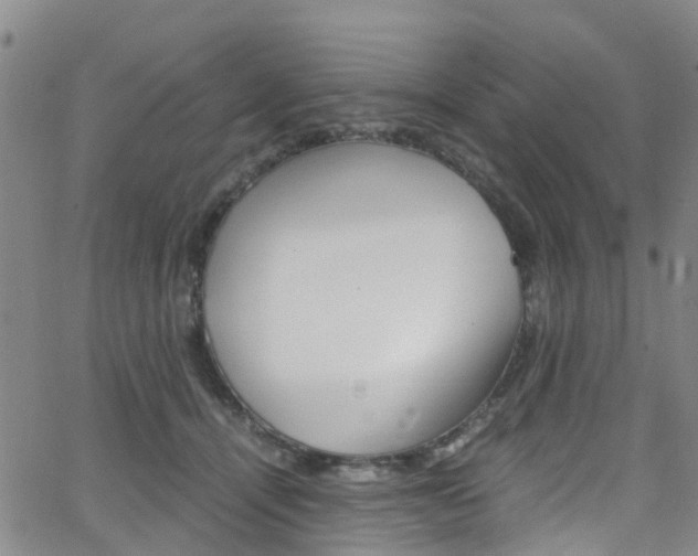 X0000062670464200512211039