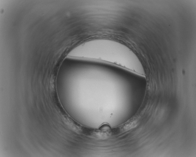 X0000062670466200512211039