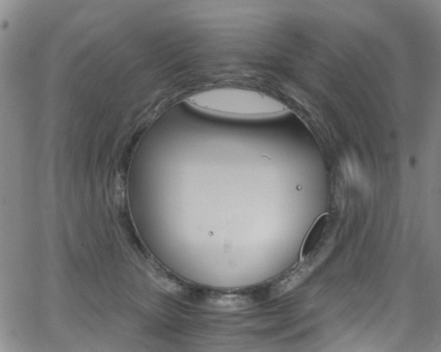 X0000062670467200512211039