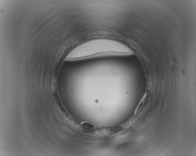 X0000062670470200512211039