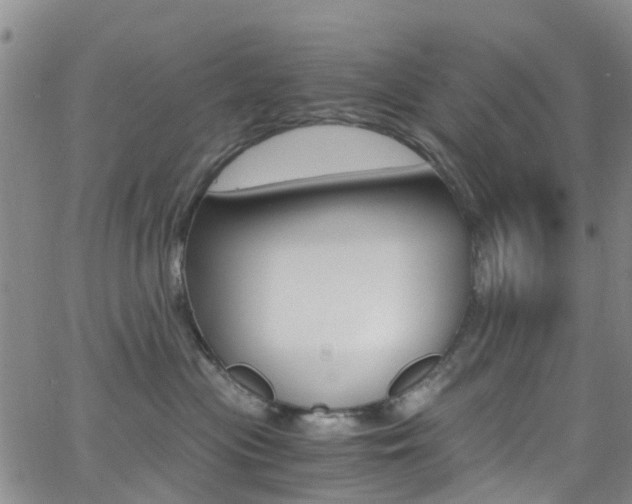 X0000062670477200512211040