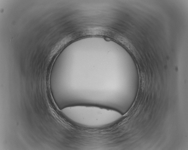 X0000062670482200512211039