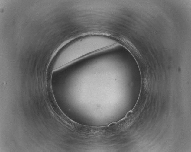 X0000062670484200512211039