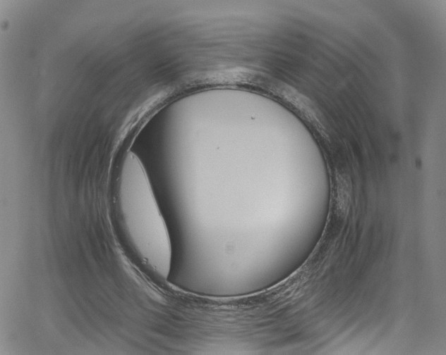 X0000062670486200512211039