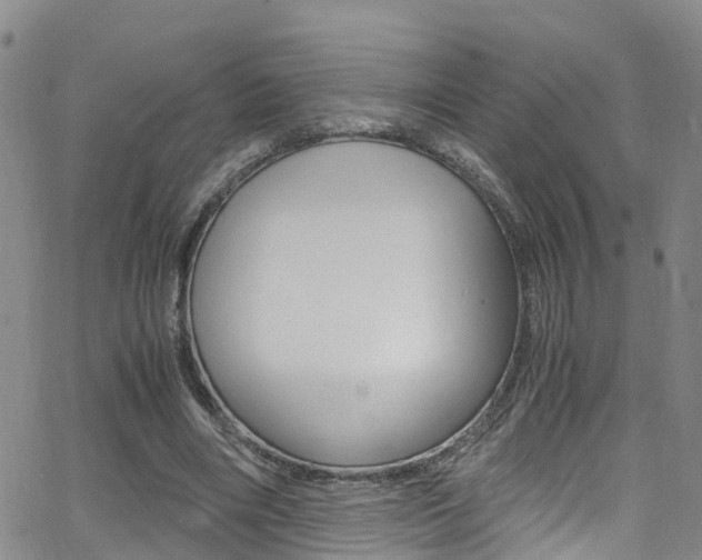 X0000062670490200512211039