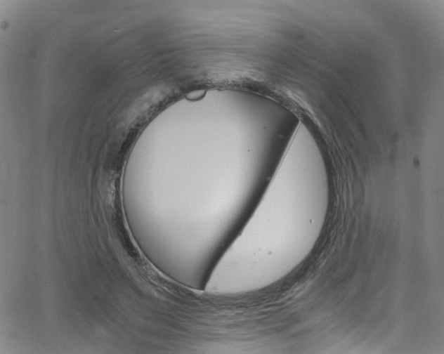 X0000062670495200512211039