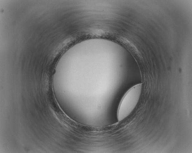 X0000062670496200512211039