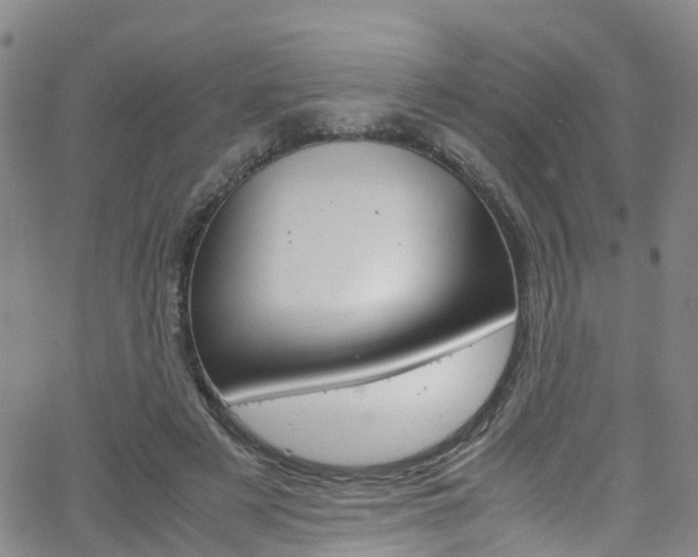 X0000062670497200512211039