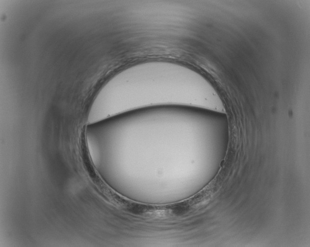 X0000062670499200512211039