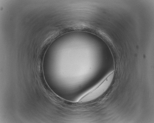 X0000062670501200512211038