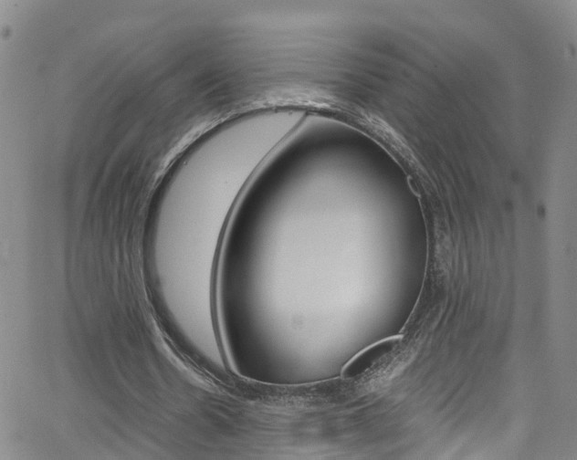 X0000062670530200512211037