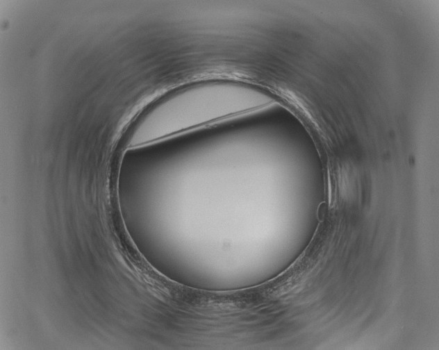 X0000062670531200512211037
